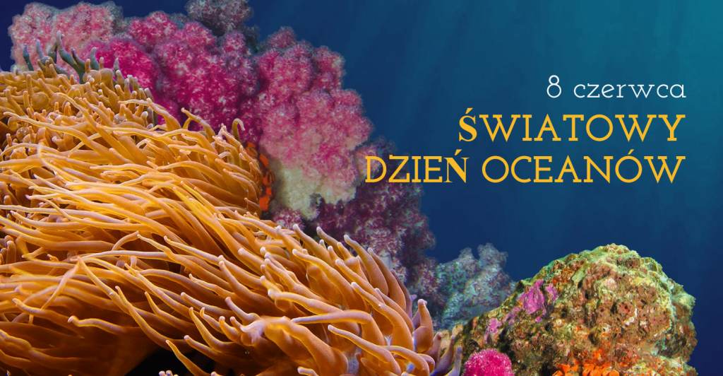 rafa koralowa i napis światowy dzięń oceanów 8 czerwca