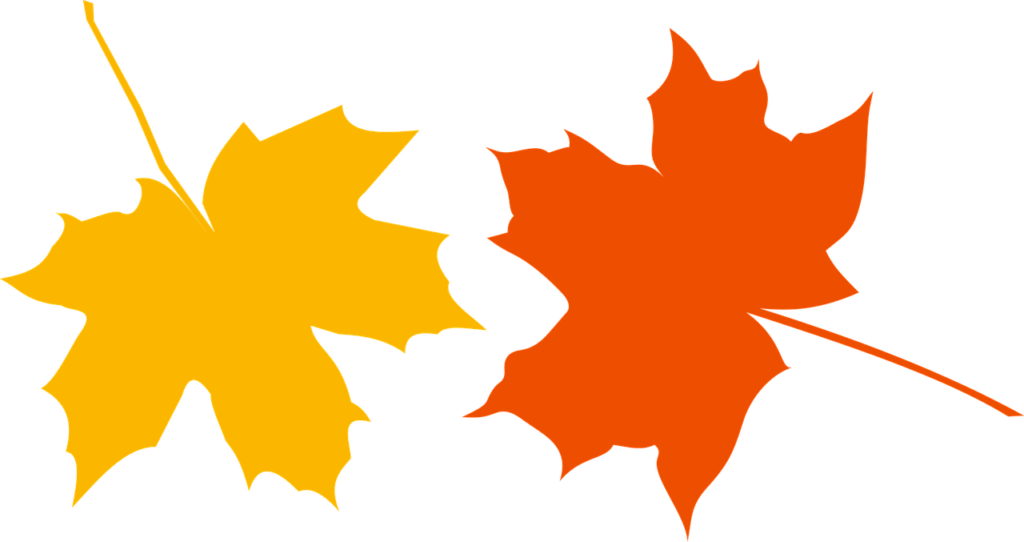 żółty i pomarańczowy liść klonu